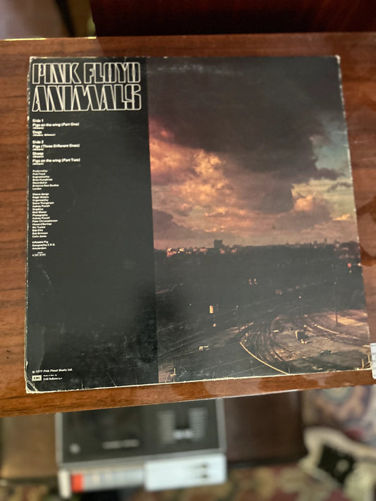 Animals